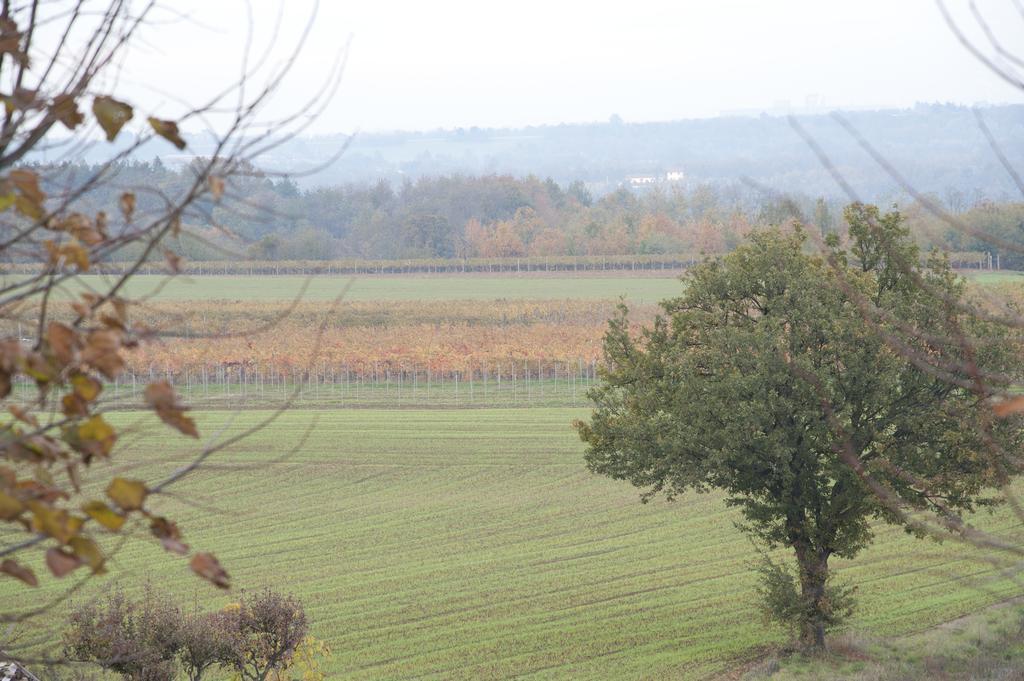 Agriturismo Il Vecchio Portico Francavilla Bisio Экстерьер фото